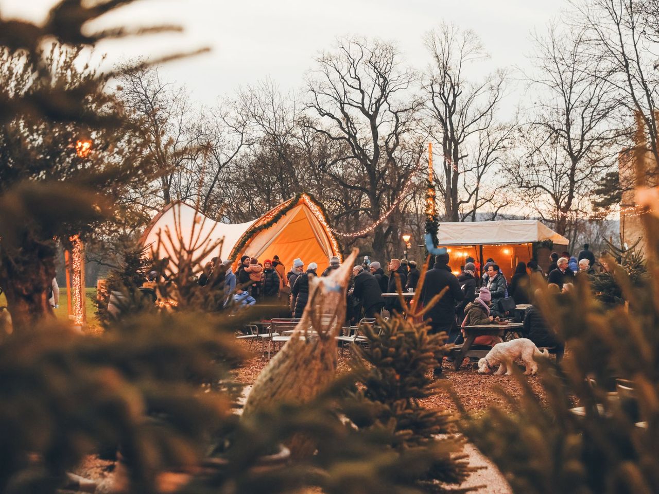 Der private Weihnachtsmarkt im Freien mit Zelten, Christbäumen und Gästen